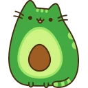 avocato.webp