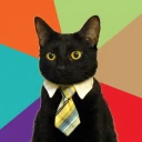 bizcat.webp