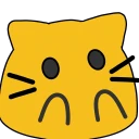 cat-meow-shocked.webp