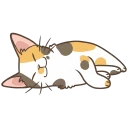 cat-nap2.webp