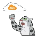 cat-yells-at-cloud.webp