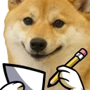 doge_notes.webp