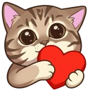 heart-mew-cat.webp