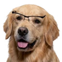 i_have_no_idea_what_im_doing.webp