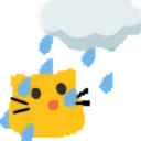 meow_enjoy-rain.webp