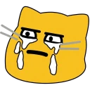 meow_sadlife.webp