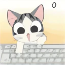 typing_cat_kitten.webp