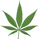 weed.webp